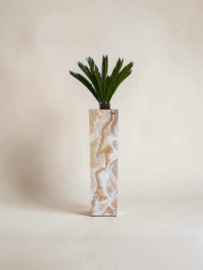 Sahara Pflanzensäule