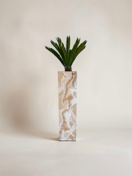 Sahara Pflanzensäule