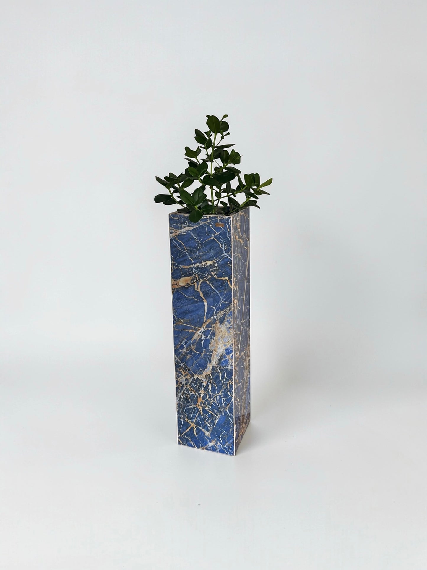 Rêve Bleu Pflanzensäule